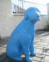 Garden of the Blue Dog 