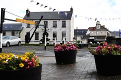 Athy Flowers
