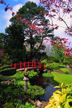 Japanes Gardens