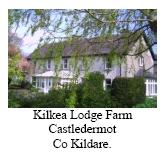 Kilkea Lodge Farm