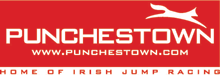 punchestown-logo