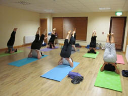 Vitality Yoga Studio