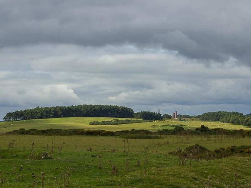 The Curragh plains with the military camp towers