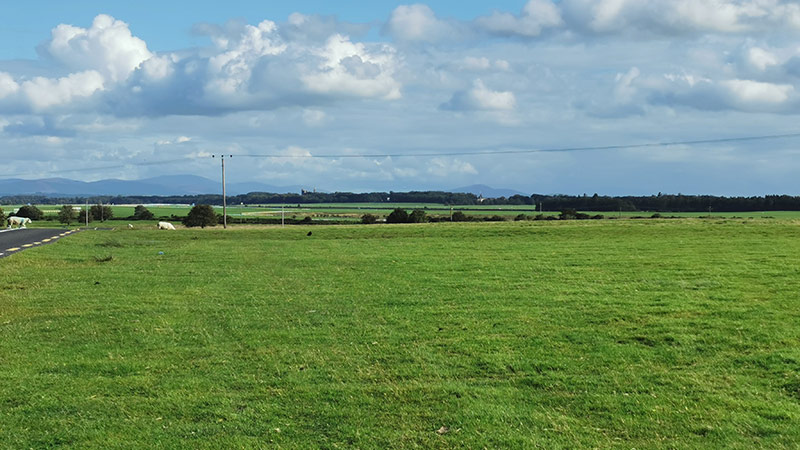 The Curragh, County Kildare