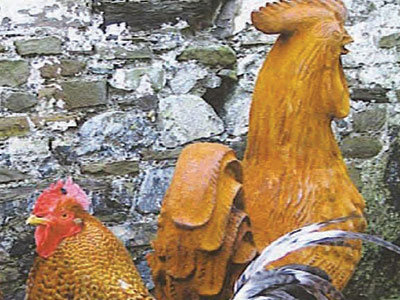 National Poultry Bring & Buy Sale