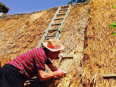 Thatching Demo Yew Cottage