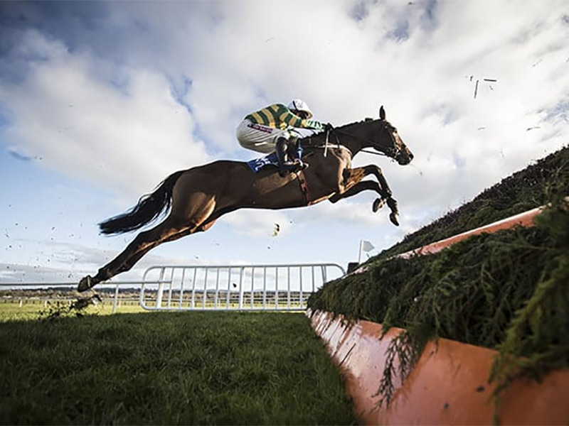 January Jumps at Naas Racecourse