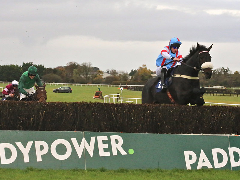 Paddy Power Cheltenham Trials Day at Naas Racecourse