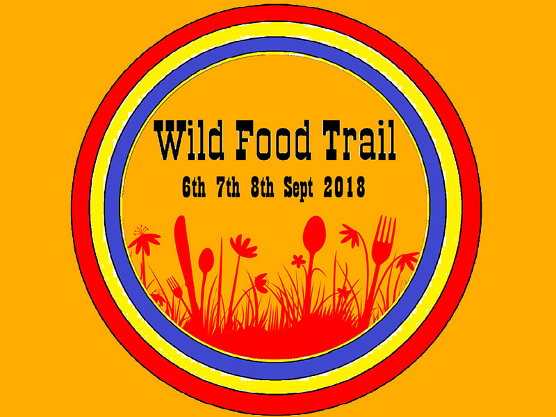 Naas Wild Food Trail