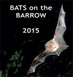 Bats on the Barrow 2015