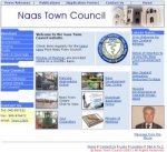 Visit the Naas Town Council Website