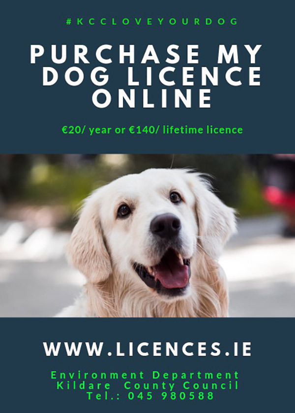 Purchase my Dog Licence ONLINE at www.licences.ie