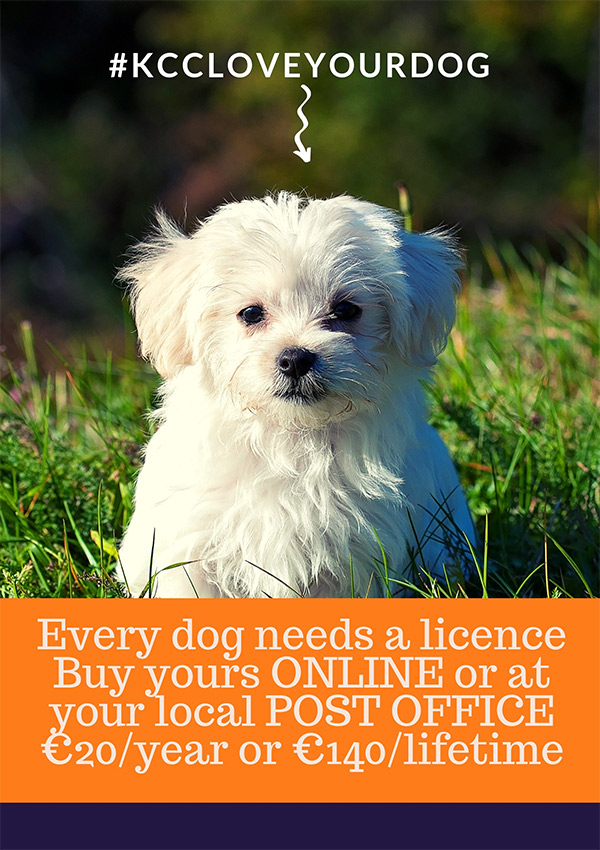 Purchase my Dog Licence ONLINE at www.licences.ie
