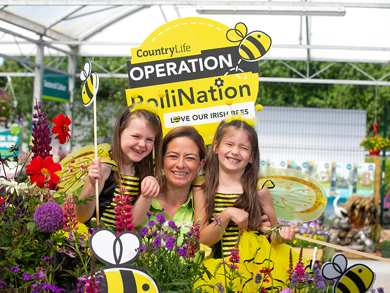 Operation PolliNation Creating a Buzz in Kildare Countryside