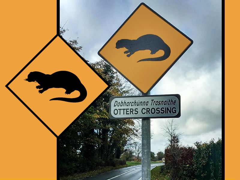 Co.Kildare gets Ireland's First Otter Crossing Sign