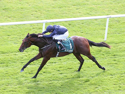 Goffs Increase Sponsorship Of National Stakes