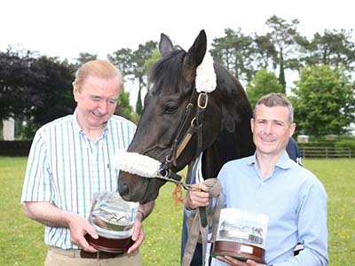 Epsom Derby Hero Harzand Welcomed Home to Co. Kildare
