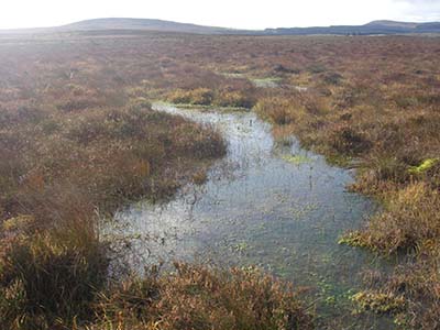 IPCC Call to Action for Blanket Bogs