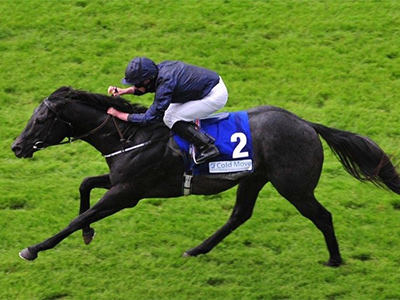 Superstar 2 year old CARAVAGGIO set for Phoenix Stakes 