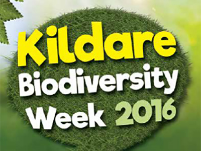 Kildare Biodiversity Week Events 