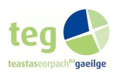 Irish language proficiency website launched