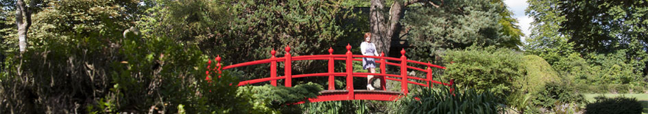 Visit the Japanese Gardens in County Kildare
