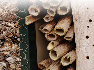 Build your own Bug Hotel