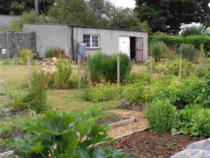 Growing Food in the Home Garden