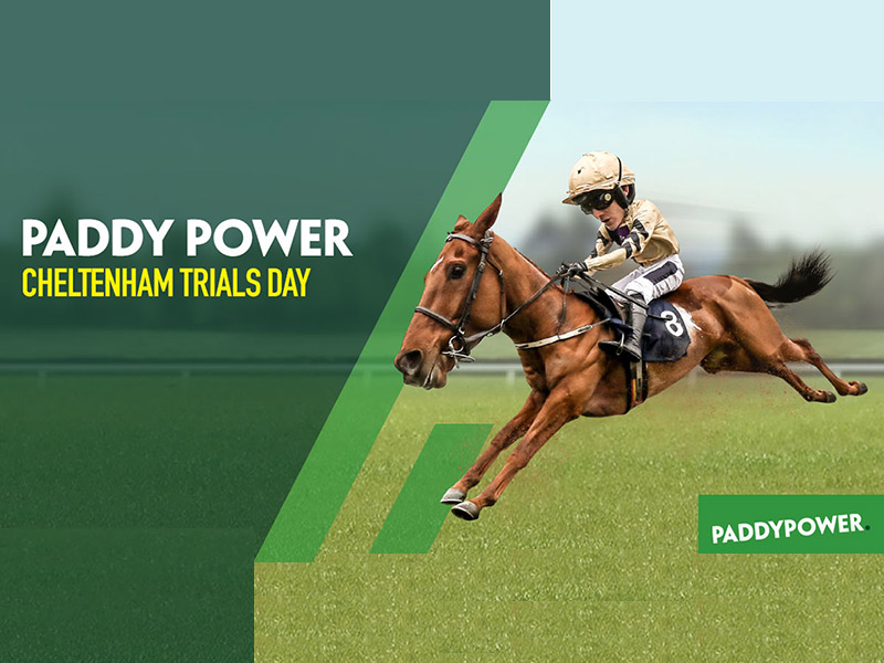 Paddy Power Cheltenham Trails Day at Naas Racecourse