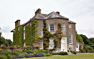Bluebell Month at Burtown House