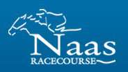Naas Race Meeting